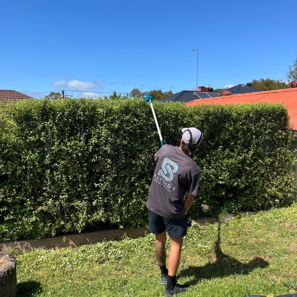 Trimming a Hedge