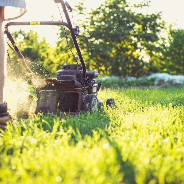 Lawn Mowing